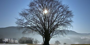 Το χειμερινό ηλιοστάσιο και οι συμβολισμοί του