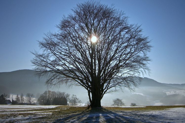 Το χειμερινό ηλιοστάσιο και οι συμβολισμοί του