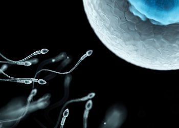 Το θρίλερ με το σπέρμα του Δανού δότη: Όταν η ελπίδα της μητρότητας συγκρούεται με την πραγματικότητα