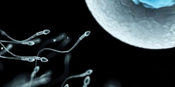 Το θρίλερ με το σπέρμα του Δανού δότη: Όταν η ελπίδα της μητρότητας συγκρούεται με την πραγματικότητα