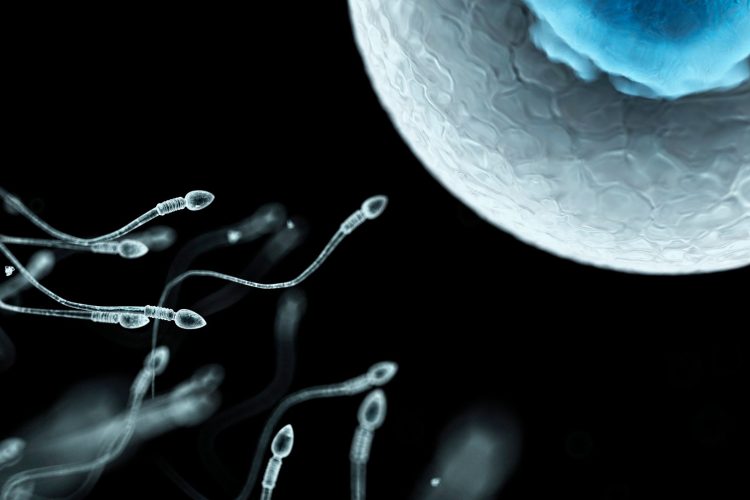 Το θρίλερ με το σπέρμα του Δανού δότη: Όταν η ελπίδα της μητρότητας συγκρούεται με την πραγματικότητα