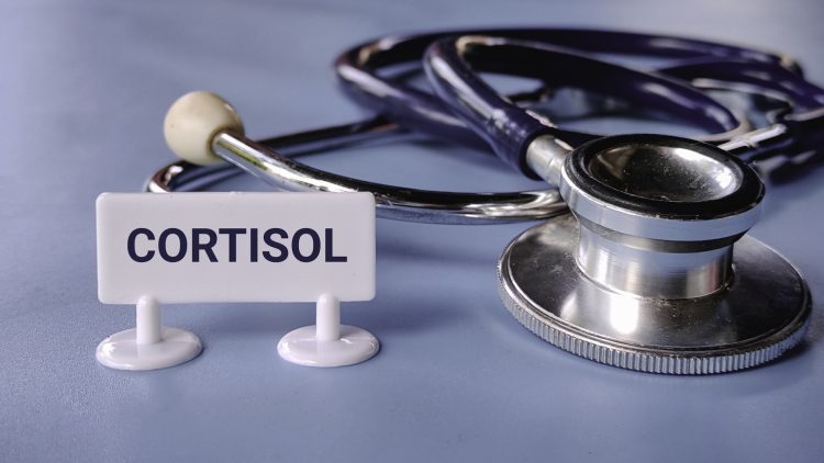 κορτιζόλη