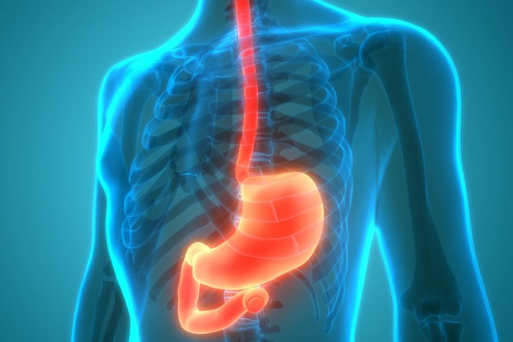 Η ανησυχητική αύξηση των γαστρεντερικών καρκίνων πρώιμης έναρξης: Τι γνωρίζουμε μέχρι σήμερα