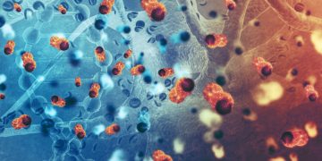 Καθορισμός της βέλτιστης διάρκειας του ανδρογονικού αποκλεισμού που προστίθεται στην οριστική ακτινοθεραπεία του καρκίνου του προστάτη