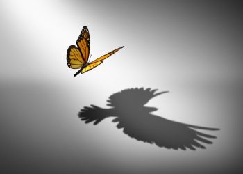 Αντιμετωπίζοντας τον νάρκισσο: Κατανόηση, όρια και ο δρόμος ο λιγότερο ταξιδεμένος