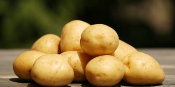 Η πατάτα δεν παχαίνει, ο τρόπος που την τρώμε παχαίνει