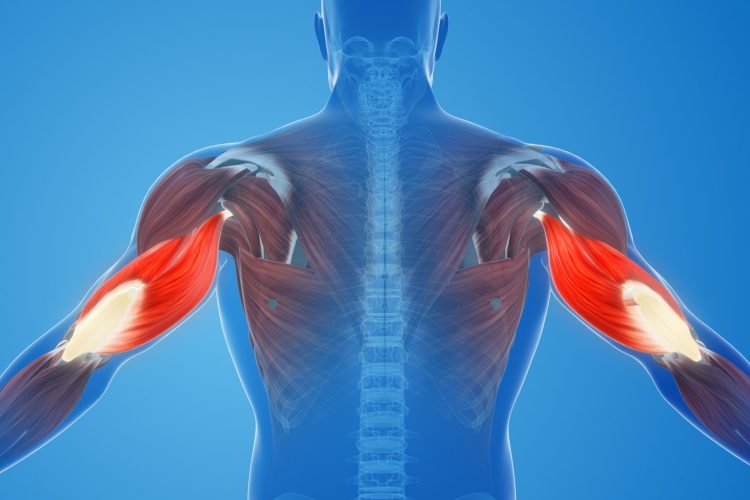 Νέα μελέτη λύνει το μυστήριο του μυικού πόνου