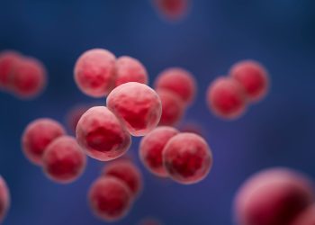 Πώς ο στρεπτόκοκκος μπορεί να προκαλέσει αυτοάνοση νόσο;