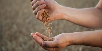 Ταπεινά τρόφιμα που δεν χρειάζονται superfood ετικέτα