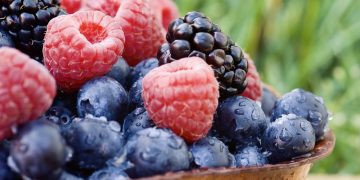 μυρτιλα και μουρα