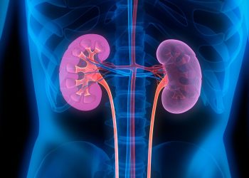 Νέα θεραπευτική αγωγή για την αντιμετώπιση του μεταστατικού καρκίνου του νεφρού