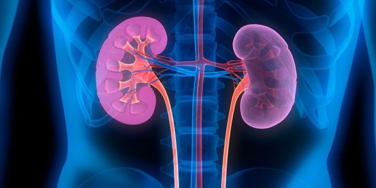 Νέα θεραπευτική αγωγή για την αντιμετώπιση του μεταστατικού καρκίνου του νεφρού