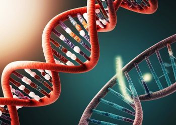 Photo 51: Η εικόνα που άλλαξε την επιστήμη και η γυναίκα που έμεινε στη σκιά