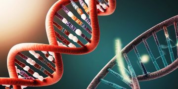 Photo 51: Η εικόνα που άλλαξε την επιστήμη και η γυναίκα που έμεινε στη σκιά