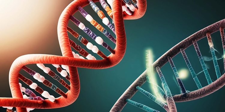 Photo 51: Η εικόνα που άλλαξε την επιστήμη και η γυναίκα που έμεινε στη σκιά