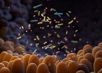 Το μικροβίωμα και το μέλλον της εξατομικευμένης ιατρικής