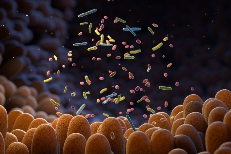 Το μικροβίωμα και το μέλλον της εξατομικευμένης ιατρικής