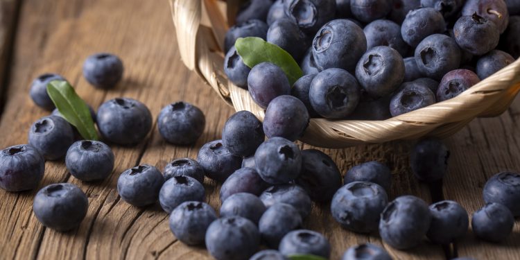 Blueberries