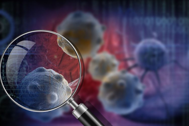 Γάμος, ανύπαντρη ζωή και κίνδυνος καρκίνου: Τι δείχνει μια μεγάλη αμερικανική μελέτη