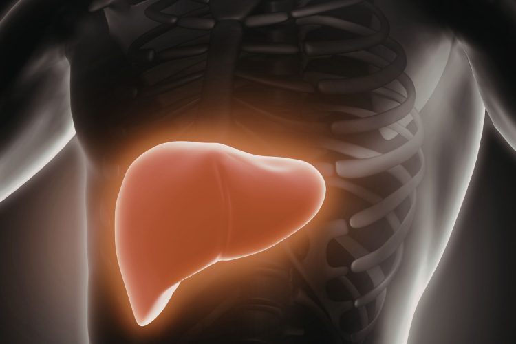Ηπατική ίνωση: Η αθέατη απειλή για τη δημόσια υγεία