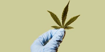 Κάνναβη και μνήμη: Μπορεί να θυμόμαστε πράγματα που… δεν συνέβησαν;