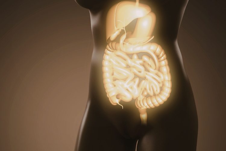 Η βαριά κατανάλωση αλκοόλ συνδέεται με καρκίνο παγκρέατος σε νεαρή ηλικία