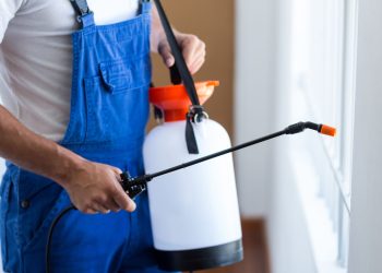 Από τη γιαγιά… στην απεντόμωση: Οι καλύτεροι τρόποι για να κρατήσετε μακριά κουνούπια και μύγες
