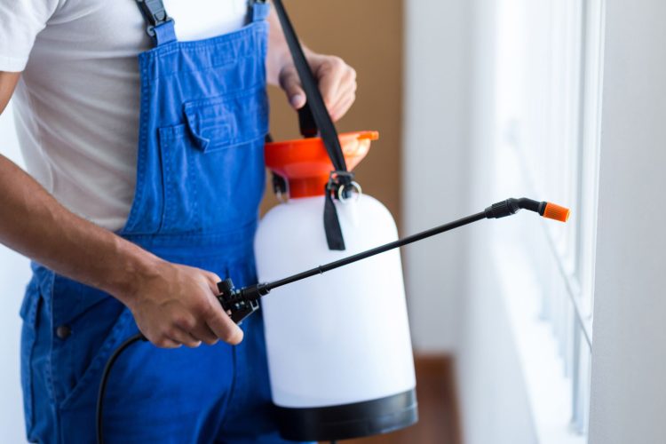 Από τη γιαγιά… στην απεντόμωση: Οι καλύτεροι τρόποι για να κρατήσετε μακριά κουνούπια και μύγες