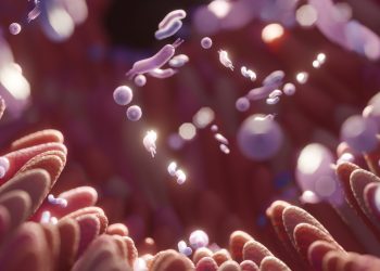 Gut-Brain Axis: Πώς το μικροβίωμα επηρεάζει διάθεση, άγχος και εγκέφαλο