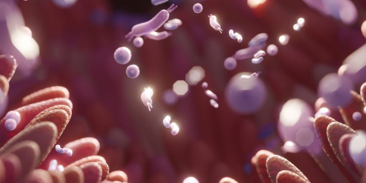 Gut-Brain Axis: Πώς το μικροβίωμα επηρεάζει διάθεση, άγχος και εγκέφαλο