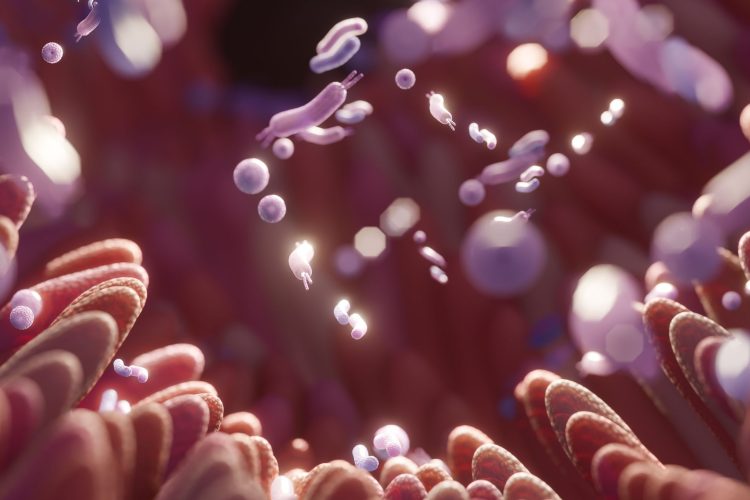 Gut-Brain Axis: Πώς το μικροβίωμα επηρεάζει διάθεση, άγχος και εγκέφαλο