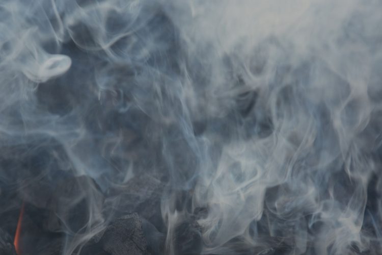 Δεν καίγονται μόνο τα δάση: Πώς ο καπνός από τις πυρκαγιές επηρεάζει τον εγκέφαλο, την καρδιά και ολόκληρο τον οργανισμό