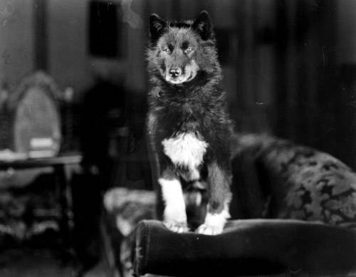 balto