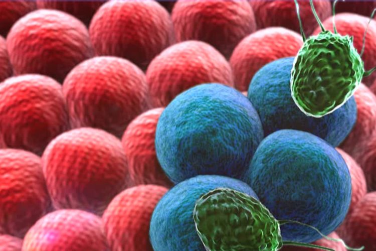 Καρκίνος του παγκρέατος: Ο FDA εγκρίνει την πρώτη στοχευμένη θεραπεία κατά του RAS
